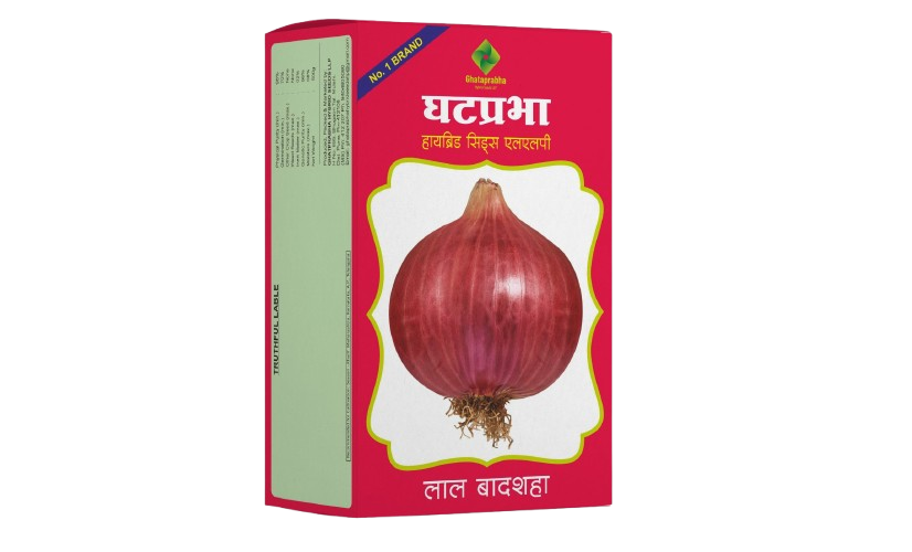 Onion Seeds Lal Badshah